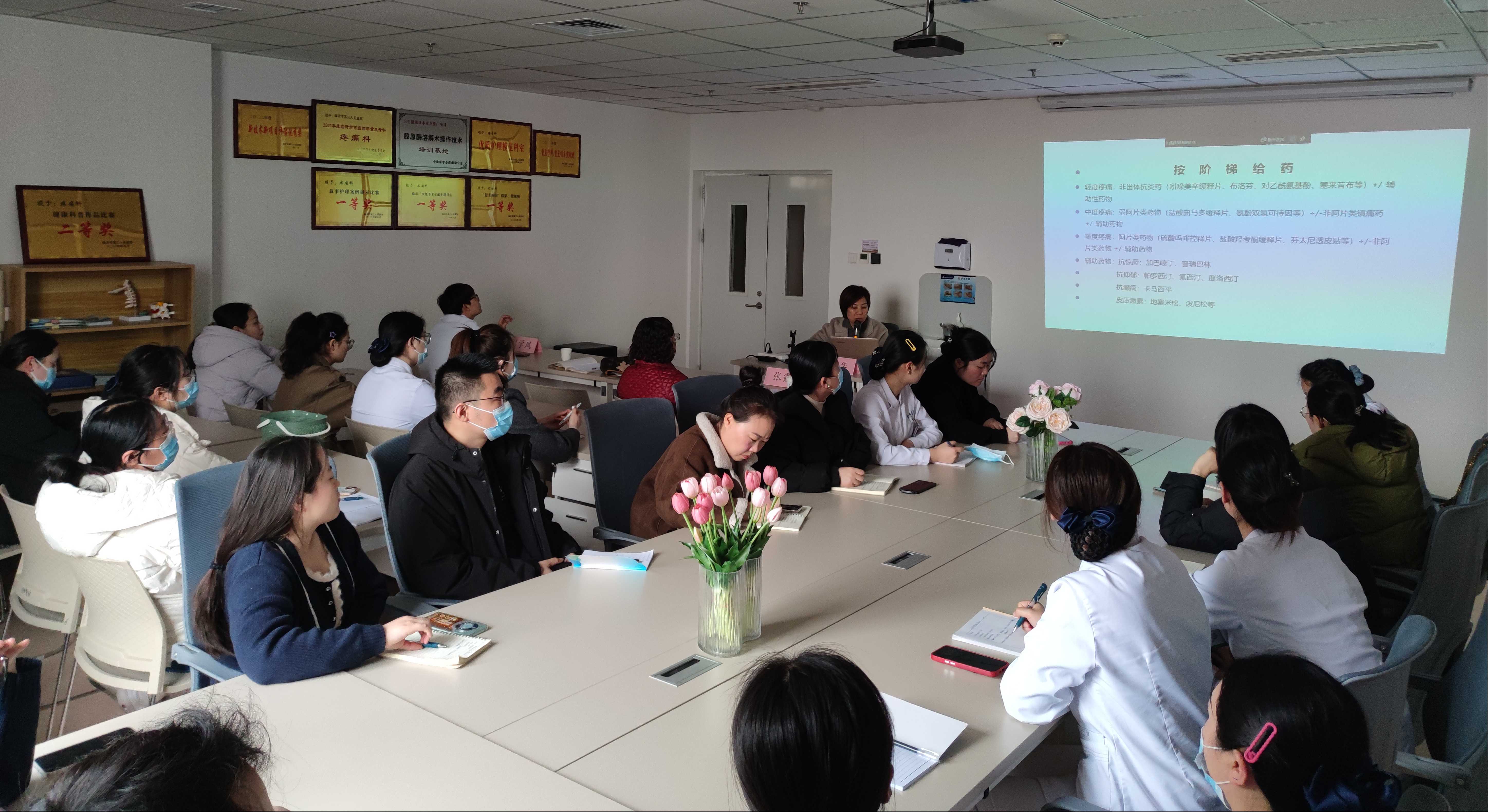 我院召开2025年第一季度疼痛小组活动会议