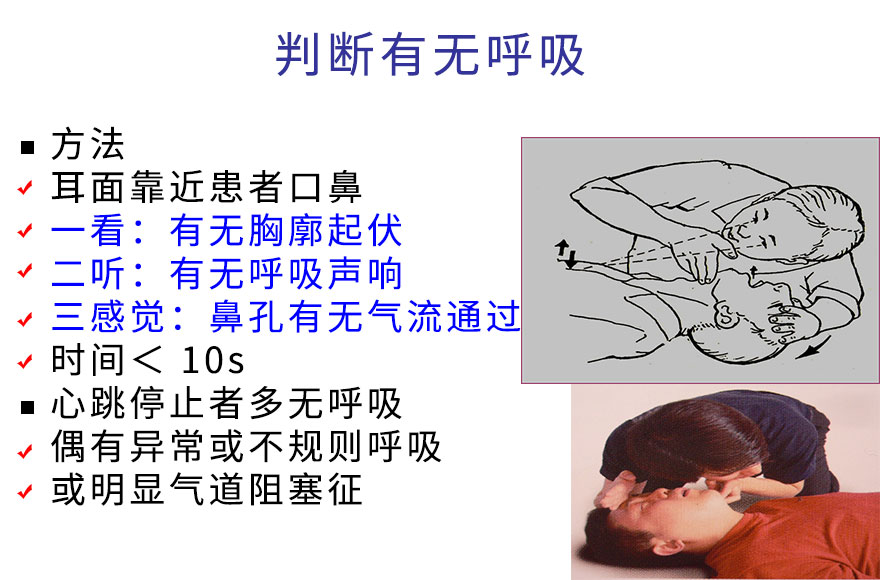判断有无呼吸.jpg