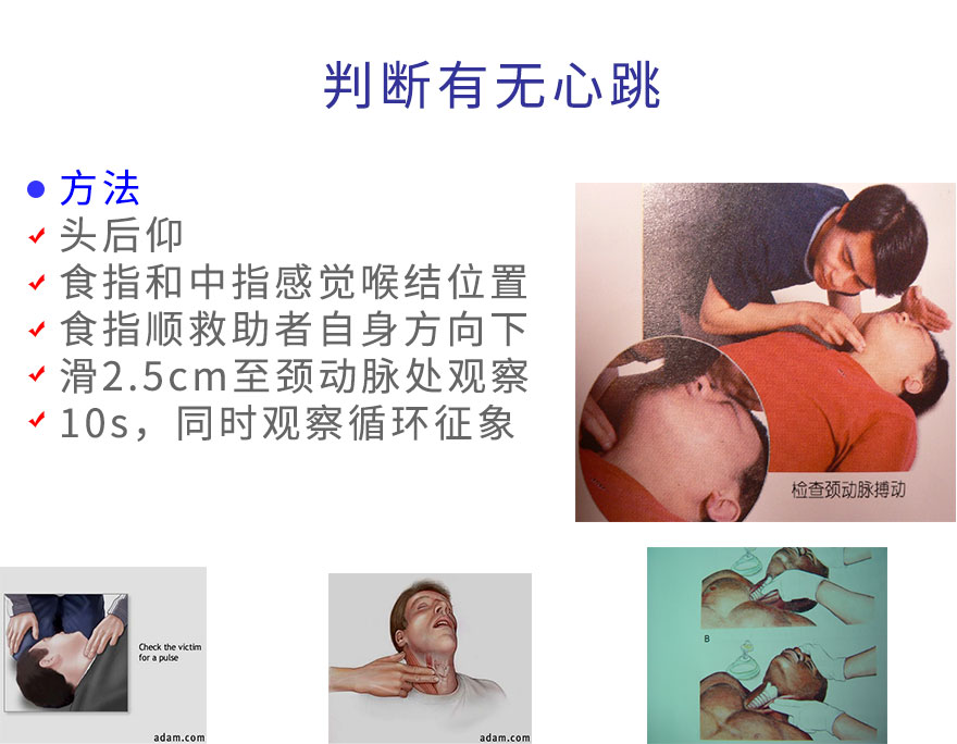 判断有无心跳2.jpg