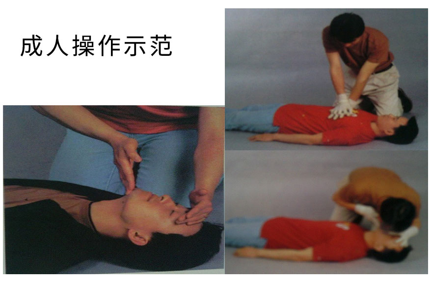 成人操作示范.jpg