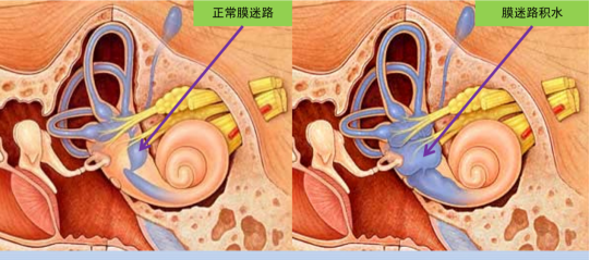 微信图片_20230922140837.png