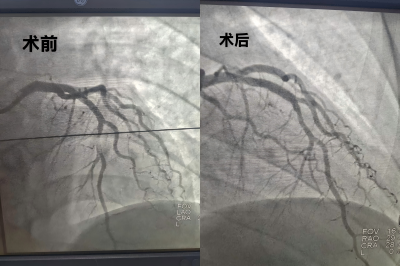 内页.png 内页.png